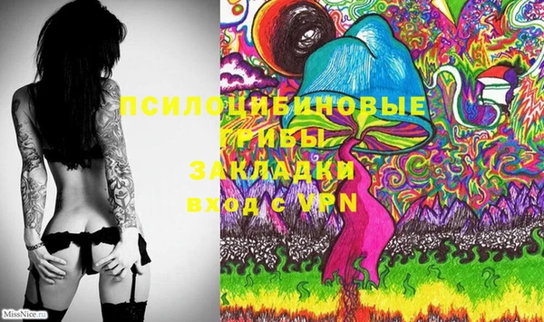 крисы Богданович