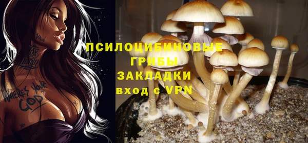 крисы Богданович
