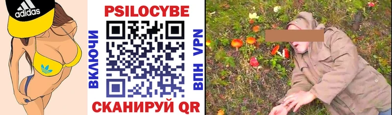даркнет сайт Долгопрудный Галлюциногенные грибы прущие грибы